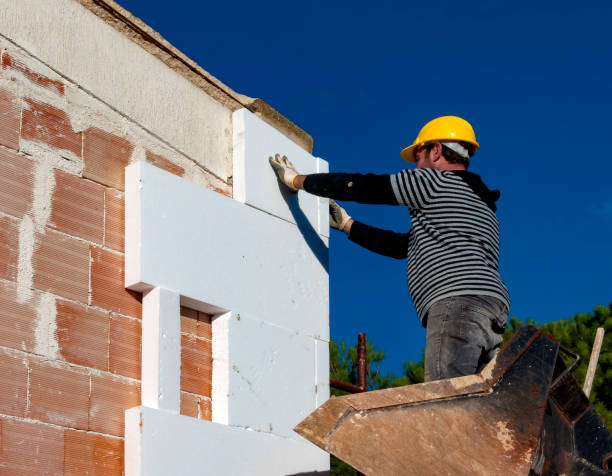 Best Geographic-Specific Insulation Services in De Soto, MO