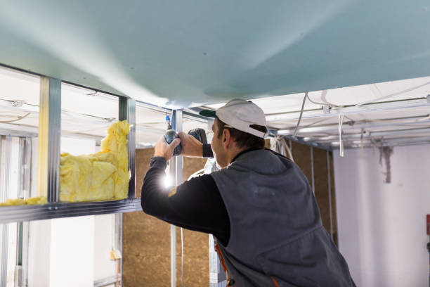Best Insulation for Specific Applications in De Soto, MO