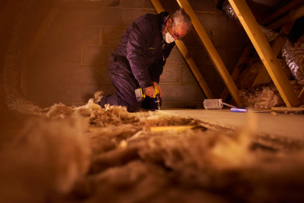 Trusted De Soto, MO Insulation Contractor Experts